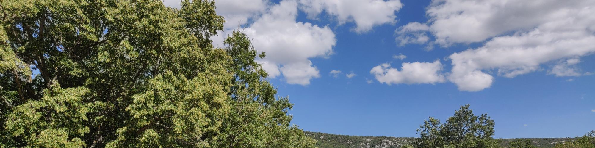     Schmerztherapie am Vinzenzkrankenhaus